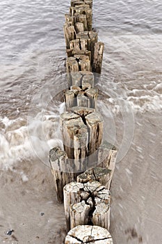 On the Beach of Ahrenshoop