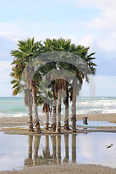 Beach of Almunecar, Spain