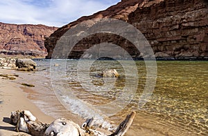 Beach Along The Colorado River At Lees Ferry, AZ