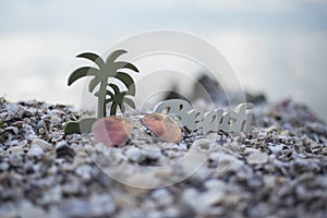 Beach with in the alphabet coconut and fishsta photo