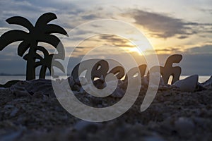 Beach with in the alphabet coconut and fishstar