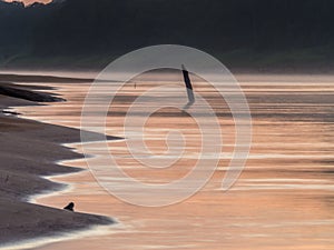 Beach, Amazon