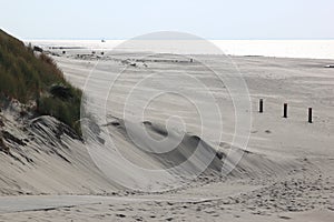Beach of Ameland Island near Hollum, Netherlands photo