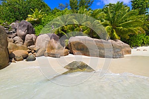 The Beach Anse Lazio, Praslin - Seychelles Island, Indian Ocean, Africa