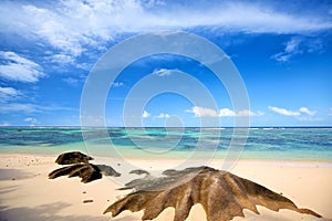 Beach Anse Source d`Argent