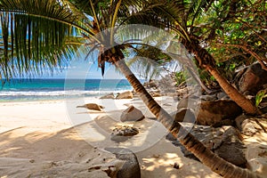 Beach Anse Takamaka of Mahe island, Seychelles