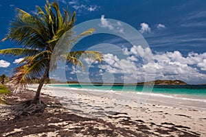 Beach of Anse Trabaud, Martinique photo