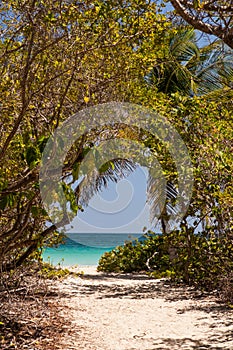 Beach of Anse Trabaud, Martinique