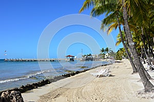 Beach at the Antlantic Coast of Key West, Florida Keys