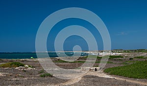 beach in Is Arutas. Sardinia, Italy at summer