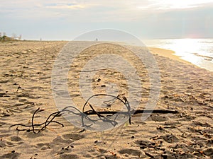 Beach in autumn