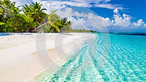Beach background. Beautiful beach landscape. Tropical nature scene. Palm trees and blue sky. Summer holiday and vacation concept.