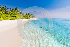 Beach background. Beautiful beach landscape. Tropical nature scene. Palm trees and blue sky. Summer holiday and vacation concept.