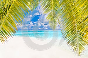 Beach background. Beautiful beach landscape. Tropical nature scene. Palm trees and blue sky. Summer holiday and vacation concept.