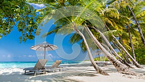 Pláž. krásny pláž. tropický príroda scéna. palma stromy a modrá obloha. leto dovolenka a dovolenka 
