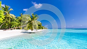 Beach background. Beautiful beach landscape. Tropical nature scene. Palm trees and blue sky. Summer holiday and vacation concept.