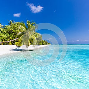 Beach background. Beautiful beach landscape. Tropical nature scene. Palm trees and blue sky. Summer holiday and vacation concept.