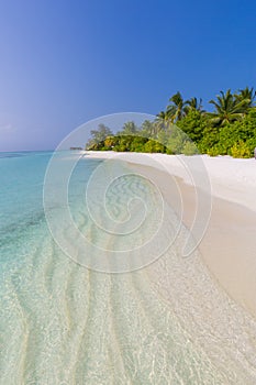 Beach background. Beautiful beach landscape. Tropical nature scene. Palm trees and blue sky. Summer holiday and vacation concept.