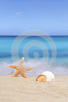 Beach background scene in summer vacation holidays with sea and