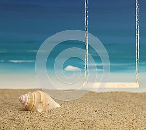 A beach background with a swing for portrait photography.