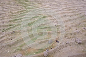 Beach backgrounds