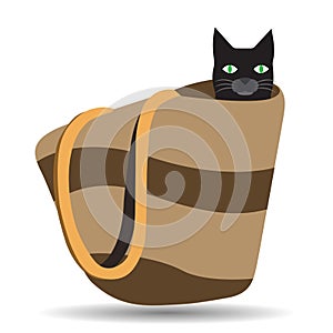 Beach bag with a black cat inside, travel with pets