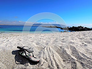 Beach Bahia Inglesa photo