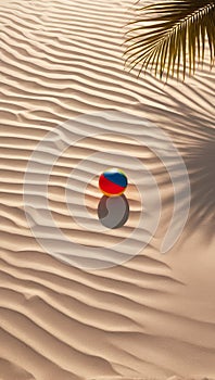 Beach ball on sand with shadow of palm tree leaf