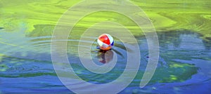 Beach ball in scummy pond