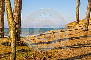 Beach of the Baltic sea with dunes and trees