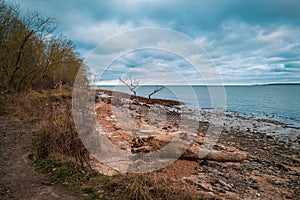 On a beach of the Baltic Sea are fallen trees after a storm