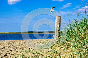 Beach at the baltic sea on the island Poel in germany