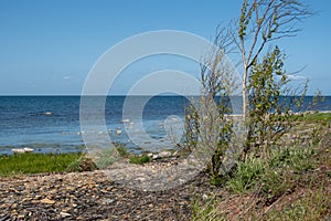 Beach at the Baltic Sea in Oland Island, Sweden