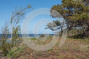 Beach at the Baltic Sea in Oland Island, Sweden
