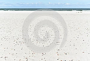 beach by the Baltic Sea. white sand and pebbles