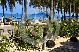 Beach Ban Krut Beach idyllic with coconut and flower