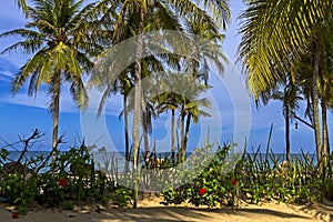 Beach Ban Krut Beach idyllic with daylight