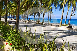 Beach Ban Krut Beach idyllic with shadow coconut