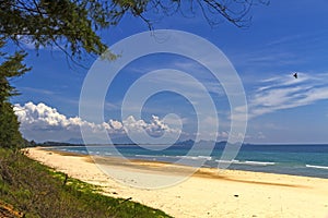 Beach Ban Krut Beach with pine and sunshine