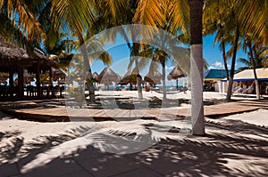 Playa hamacas a palmera árboles 