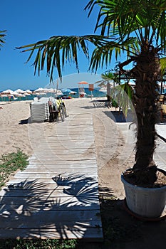 Beach bar with wooden path