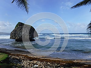 Beach in Barbatos photo