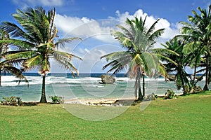 Beach at Bathsheba, Barbados photo
