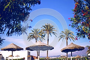 The Beach with beach umbrella and palms. Vintage Filter. Ð¡ear summer skies. Fashion, travel, summer,