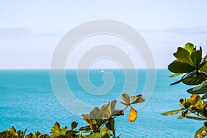 Beach, beautiful panoramic sea view, with clean water, blue sky and some green leaves branch