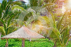 Beach beautiful thatched umbrellas and bright turquoise sea, great recreation and relaxation. tropical paradise.