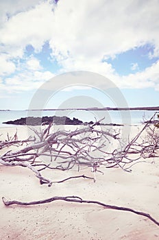 Beach on a beautiful uninhabited island, selective focus, color toning applied, Galapagos Islands, Ecuador