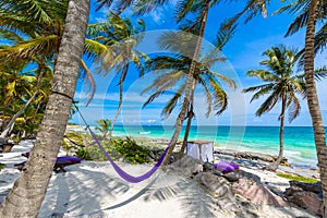 Beach beds and Hammock under the palm trees on paradise beach at tropical Resort. Riviera Maya - Caribbean coast at Tulum in