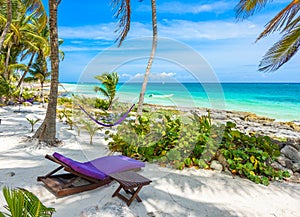 Beach beds and Hammock under the palm trees on paradise beach at tropical Resort. Riviera Maya - Caribbean coast at Tulum in