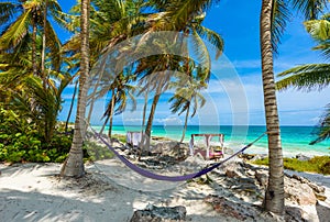 Beach beds and Hammock under the palm trees on paradise beach at tropical Resort. Riviera Maya - Caribbean coast at Tulum in